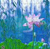 Zen Puzzles: Waterlily