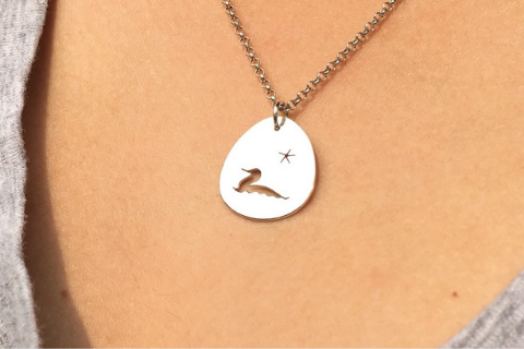 Loon and Star: Sterling Silver Pendant