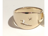 Loon and Star: 14k Gold Ring, Sizes 8-11